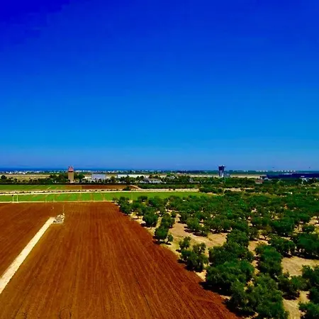 K.W. Aeroporto Bari Palese *
